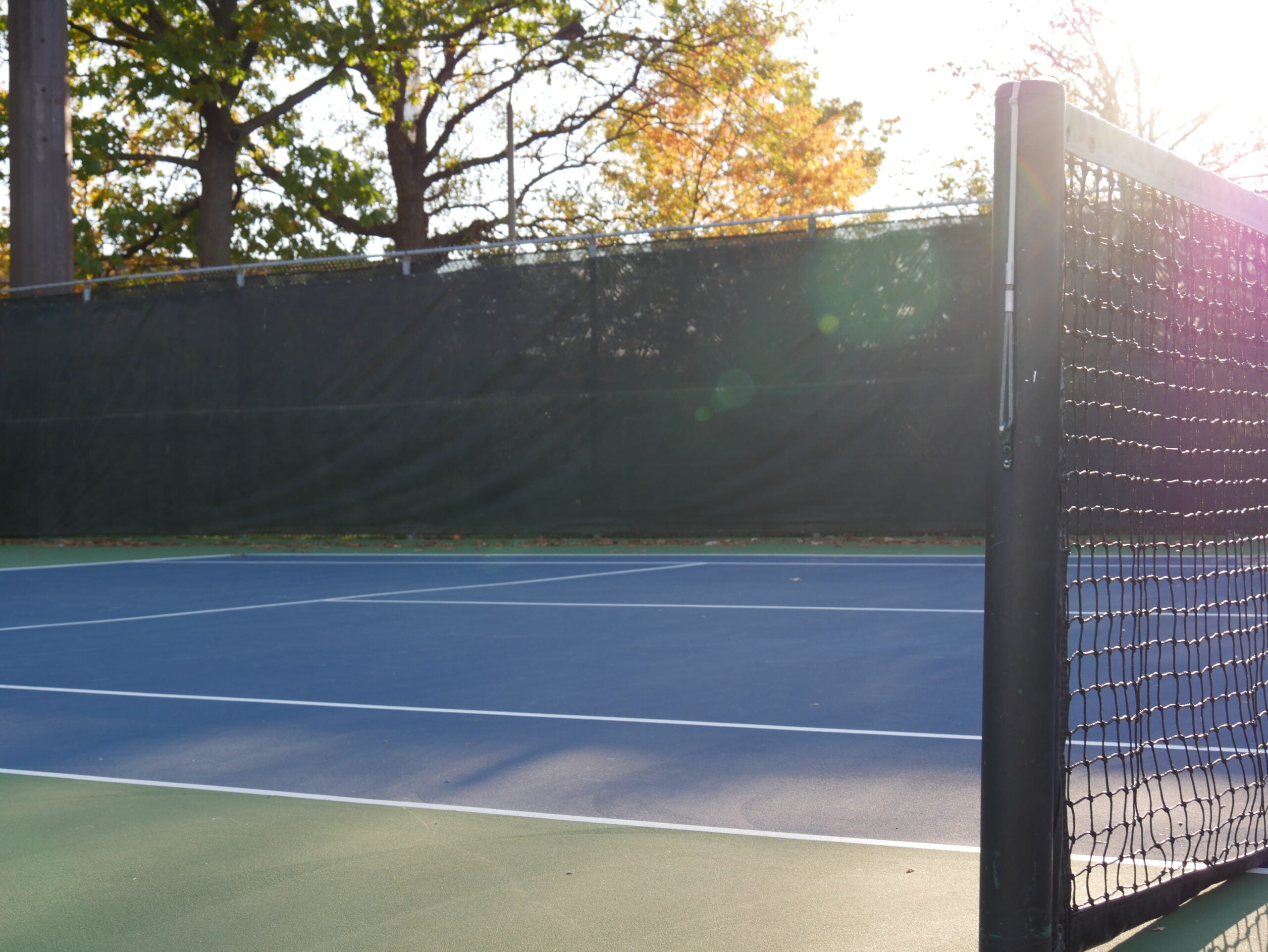 leçon privée au parc Lafontaine préparation mentale